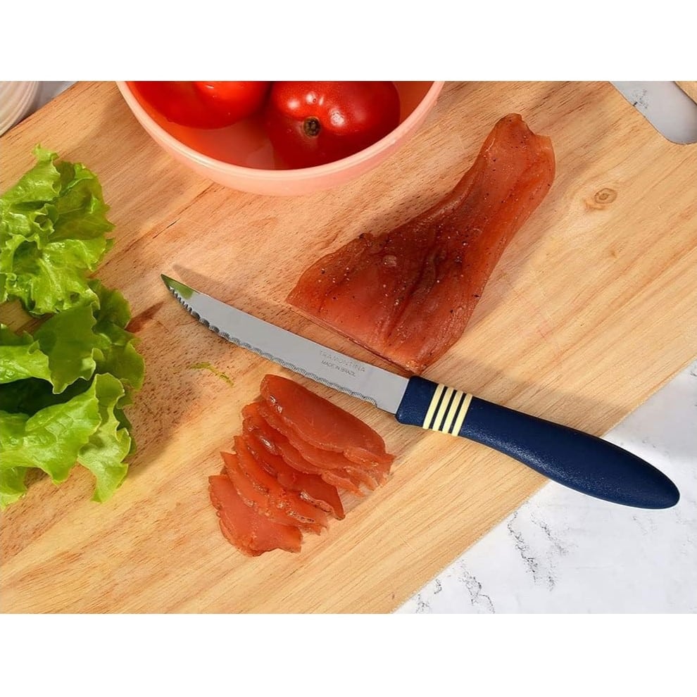 Tramontina Cor&Cor 2 Pieces Steak Knife Set with Stainless Steel Blade and Dark Blue Polypropylene Handle