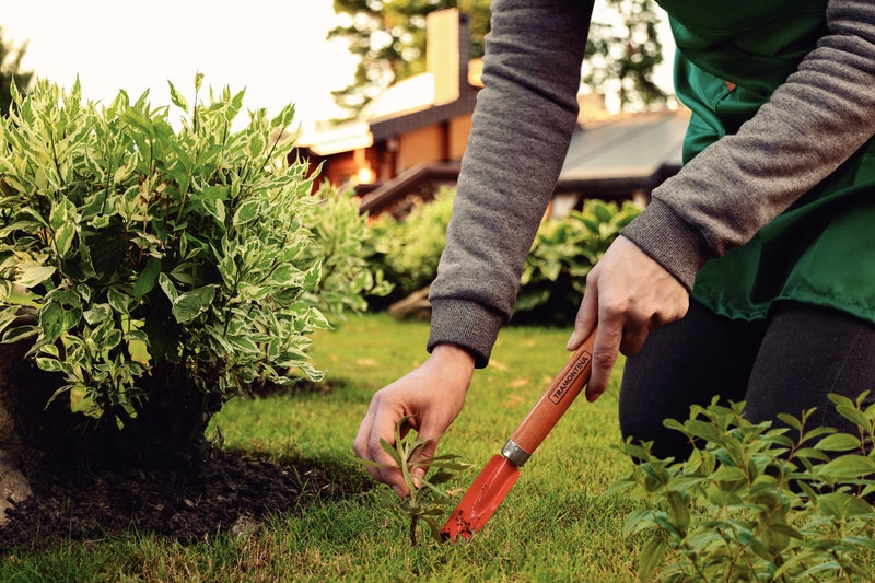 Tramontina Lawn Weeder with Wood Handle