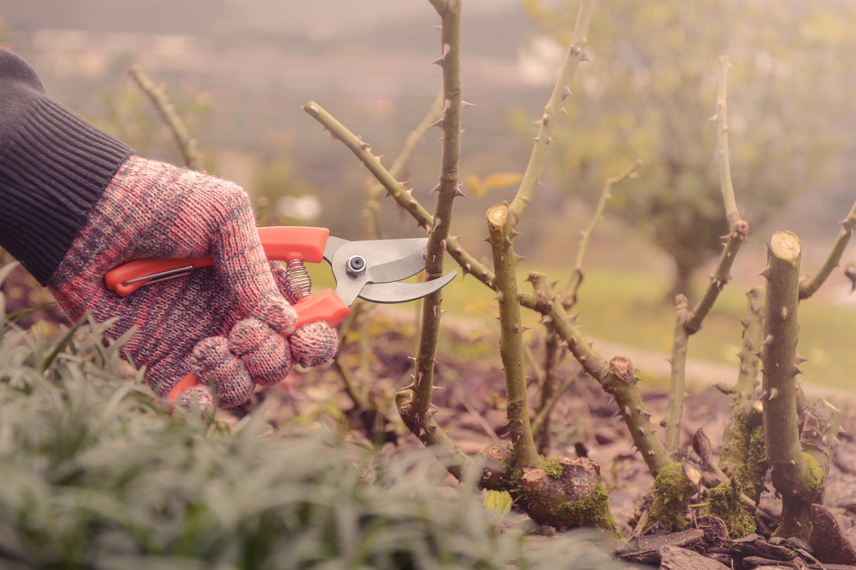 Tramontina Pruners with Metal Blades and Plastic Handles