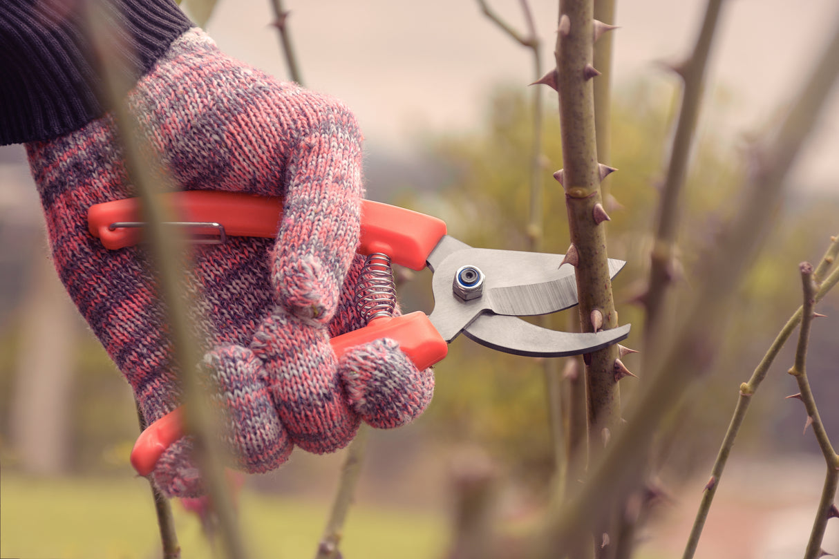 Tramontina Pruners with Metal Blades and Plastic Handles