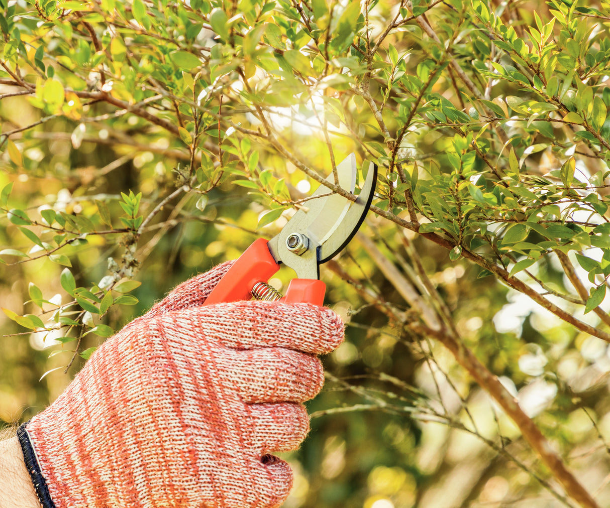 Tramontina Pruners with Metal Blades and Plastic Handles