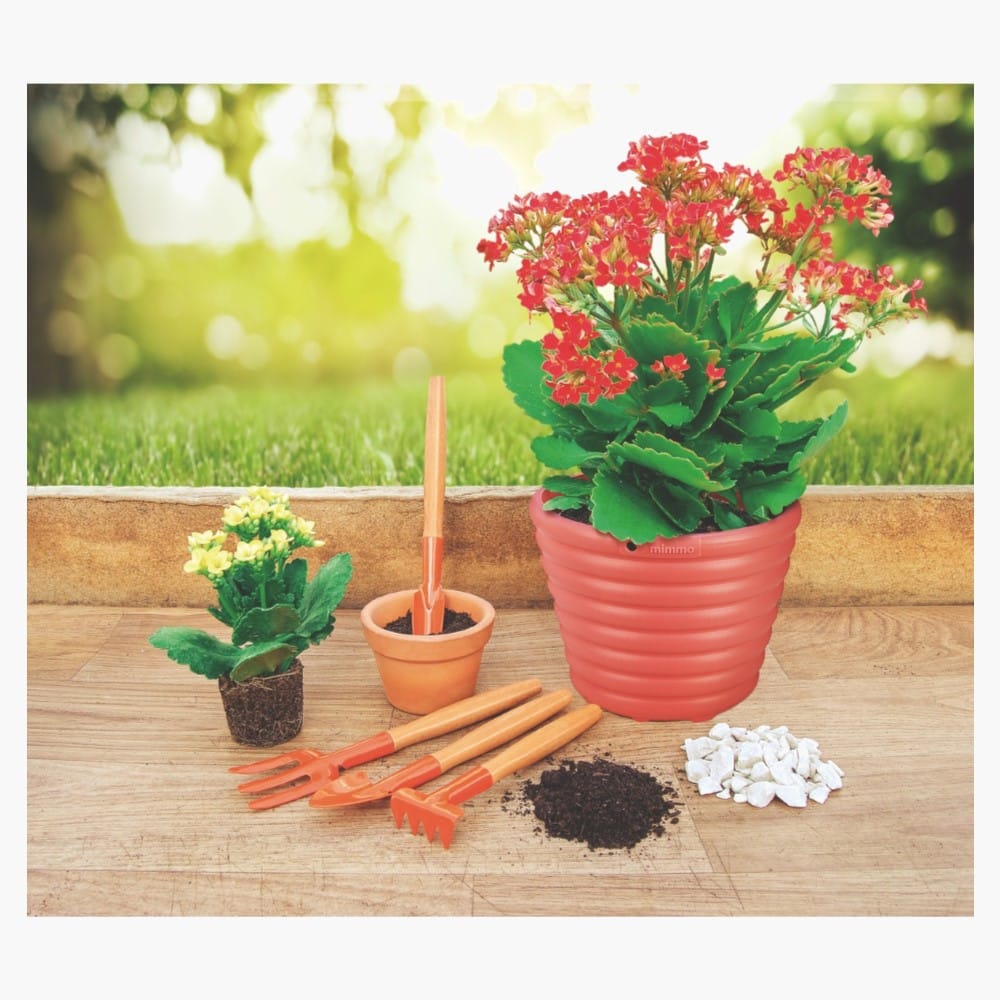 Tramontina 4 Pieces Garden Tool Set with Special Carbon Steel and Wood Handle includes Garden Trowel + Transplanting Trowel + 3 Teeth Garden Fork + 4 Teeth Cultivator