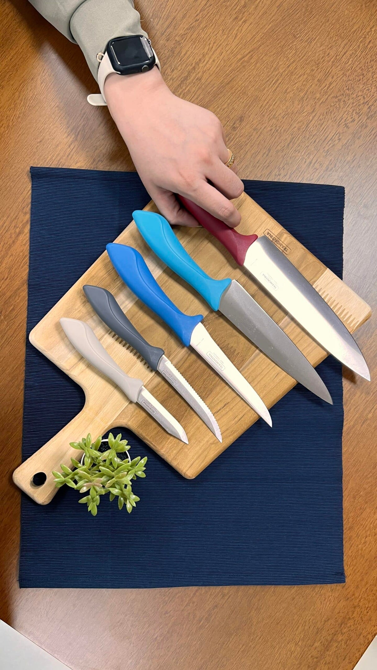 Tramontina Affilata 5 Pieces Knife Set with Stainless Steel Blade and Multicolor Polypropylene Handle