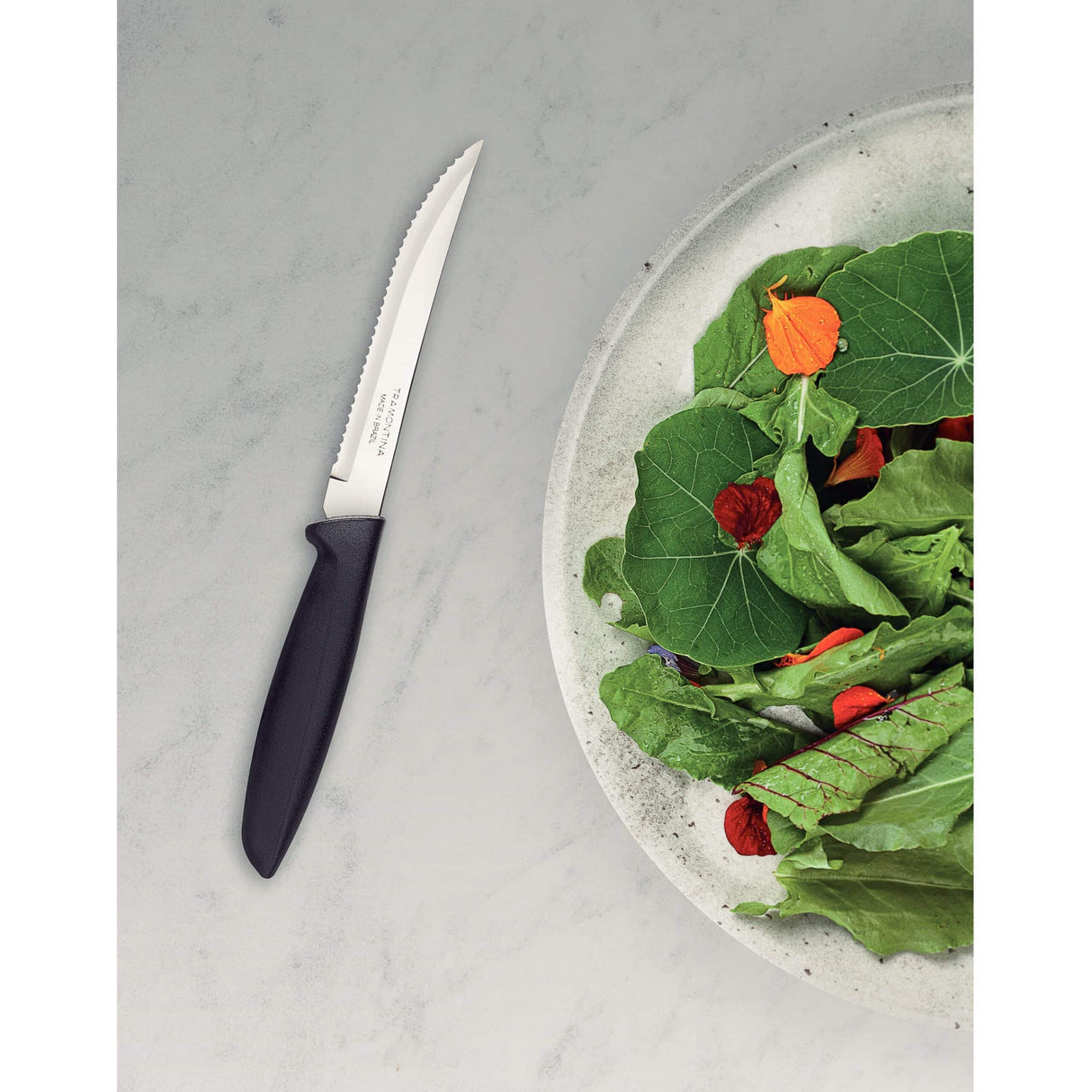 Plenus 6 Pieces Steak and Fruit Knife Set with Stainless Steel Blades and Polypropylene Handles
