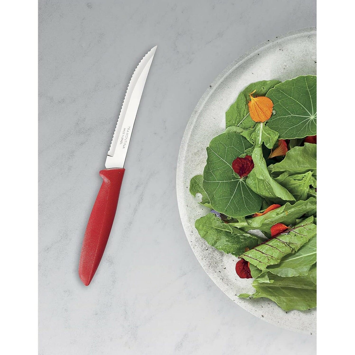 Plenus 6 Pieces Steak and Fruit Knife Set with Stainless Steel Blades and Polypropylene Handles