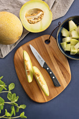 Tramontina Solutta vegetable and fruit knife with Stainless-Steel Blade and Black Polycarbonate Handle 4"