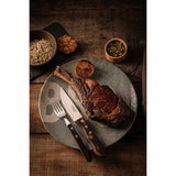 Tramontina Jumbo Steak Knife with Stainless-Steel Blade and Treated Brown Polywood Handle 5"