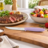 Tramontina Plenus 5 Inches Steak and Fruit Knife with Stainless Steel Blade and Purple Polypropylene Handle